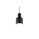 Trio T319400132 Pendelleuchte AGUDO E27