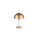 Trio T506200165 Tischlampe NOLA E14