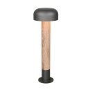 Trio T562560135 Gartenleuchte FRASER E27
