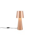 Trio T562900165 Tischlampe NUBIAN E27
