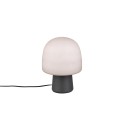 Trio T568200132 Tischlampe STEEN E14