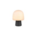 Trio T568200132 Tischlampe STEEN E14