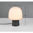 Trio T568200132 Tischlampe STEEN E14