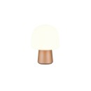 Trio T568200165 Tischlampe STEEN E14