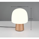 Trio T568200165 Tischlampe STEEN E14