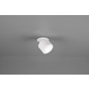 TRIO 652910131 LED Deckenleuchte Spotleuchte Taurus 1x3,5W 1x1,5W + | 450L | 3000K | IP20 - weiß