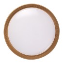 Rabalux 98071308 LED Deckenleuchte Ladan | 48W integrierte LED-Quelle | 3000lm | 3000-6500K
