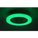 Rabalux 98071333 LED Ventilator mit Licht Dalfon2 | 48W integrierte LED-Quelle | 3500lm | 3000-6500K
