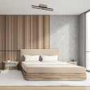 Rabalux 98071396 LED Deckenleuchte Demir | 16W integrierte LED-Quelle | 1200lm | 4000K