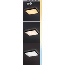Rabalux 98071423 LED Außen-Deckenleuchte Alenzo | 36W integrierte LED-Quelle | 2350lm | 3000+4000+6500K