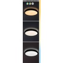 Rabalux 98071430 LED Außen-Deckenleuchte Alenzo  | 36W integrierte LED-Quelle | 2450lm | 3000-6000K