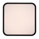 Rabalux 98071432 LED Außen-Deckenleuchte Alenzo  | 24W integrierte LED-Quelle | 1450lm | 3000+4000+6500K