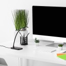 Rabalux 98074013 LED Tischlampe Hardin | 5W integrierte LED-Quelle | 210lm | 2700-5500K