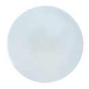 Rabalux 98077182 LED Außen-Deckenleuchte Lowar | 18W integrierte LED-Quelle | 1100lm | 3000K