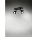 TRIO 800700232 Spotleuchte Deckenleuchte Leon 2x35W | GU10 | IP20 - schwarz