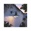 Philips 01816/30/PN Außenwandleuchte 1x60W Topiary | 2700K | E27