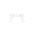 Trio T849210231 LED Spot-Deckenleuchte AMBALA  integrierte LED-Quelle | 2x500lm | 2300+3000+4000K