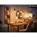 Philips 8719514342941 LED intelligente Lampe | 7W E27 | 550 lm | 2100K