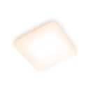 Philips 8720169195493 LED Deckenleuchte Mauwe | 24W integrierte LED-Quelle | 2900 lm | 2700K