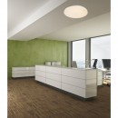 Globo 41625-30 LED Deckenleuchte Jana I 1x30W | 1260lm | 3000K - weiß