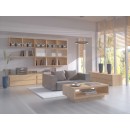 Immax Neo 07096L LED Deckenleuchte Pastel 1x66W | 3000-6000K - Fernbedienung, dimmbar, intelligent