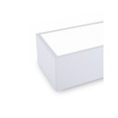 Immax NEO 07072-60 LED Deckenleuchte CANTO | 34W integrierte LED-Quelle | 2450lm | 3000-6000K