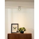 Lucide 09101/01/12 Deckenleuchte Bodi 1x42W | GU10