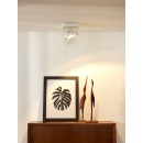 Lucide 09988/12/31 LED Decken- und Spotleuchte Specktrum 1x12W | G53 | 2700K