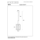 Lucide L454920136 Pendelleuchte RAFAL  E27