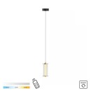 Zuma Line 003064-028419 LED Pendelleuchte CALLY integrierte LED-Quelle