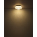 Globo 67162-50D LED Deckenleuchte MUCKY | 50W integrierte LED-Quelle | 3965lm | 2700-6000K