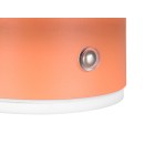 Trio TR24431140 LED Wandleuchte DAVEY | 1,5W integrierte LED-Quelle