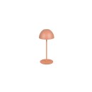 Trio TR55601140 LED Tischlampe ORTIZ | 2W integrierte LED-Quelle