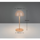 Trio TR55601165 LED Tischlampe ORTIZ | 2W integrierte LED-Quelle