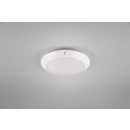 TRIO R60501031 Camaro Außendeckenleuchte E27 1x12W IP54