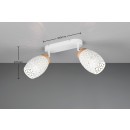 Trio TR81572031 Spot-Deckenleuchte BIDAR E14