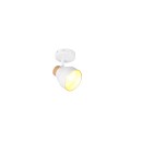 Trio TR81921731 Spot-Wandleuchte VALENTIN E14