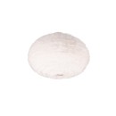 Trio Reality TR61582001 Deckenleuchte FURRY E27