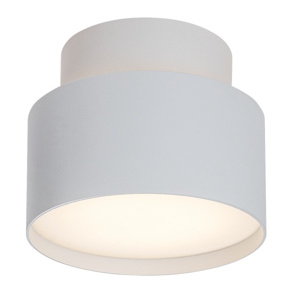 Rabalux 98071324 LED Deckenleuchte Ovidia | 16W integrierte LED-Quelle | 920lm | 3000K