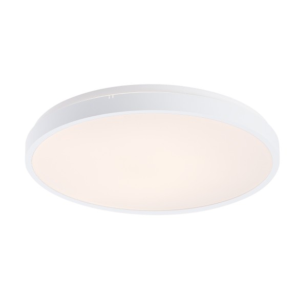 Rabalux 98071430 LED Außen-Deckenleuchte Alenzo  | 36W integrierte LED-Quelle | 2450lm | 3000-6000K