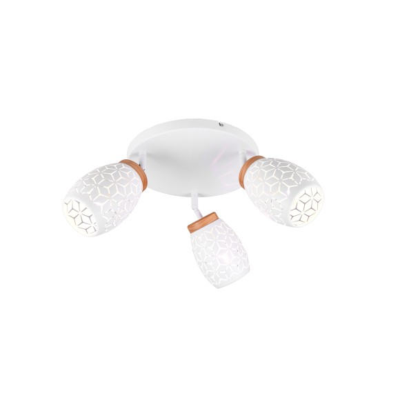 Trio TR61573331 Spot-Deckenleuchte BIDAR E14