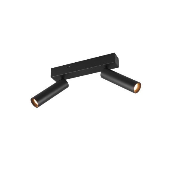 Trio T849210232 LED Spot-Deckenleuchte AMBALA integrierte LED-Quelle | 2x500lm | 2300+3000+4000K