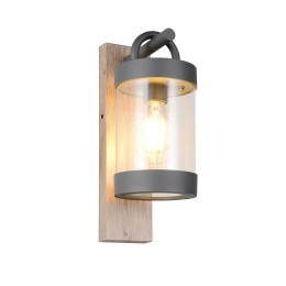 Trio T204160135 Außenwandleuchte SAMBESI E27