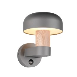 Trio T262569135 Außenwandleuchte FRASER E27