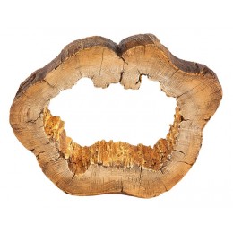 Globo Solar 36519 LED-Gartendekolampe 1xAAA 22x0,06W | 3000K | IP44