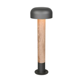 Trio T562560135 Wegeleuchte FRASER E27