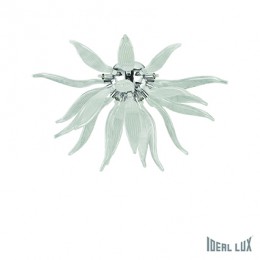 Ideal Lux Wand- und Deckenleuchte LEAVES 6x40W G9